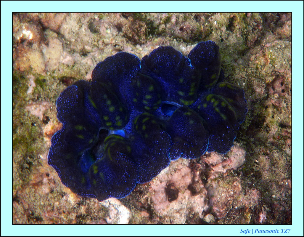 2013 - 01 - Koh Poda 20